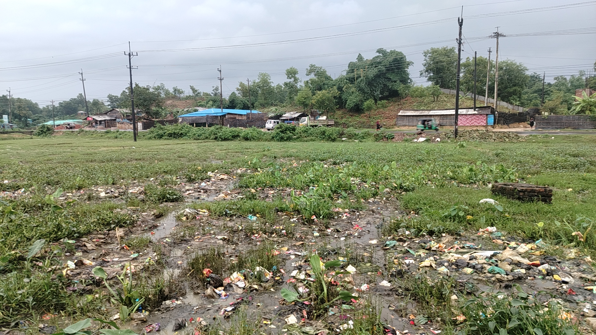 Waterlogged farmland in Ukhiya Thaing Khali area lies uncultivated after waste from Rohingya Camp-11 floods the fields due to blocked drainage canals, August 9, 2025. Photo: V7N